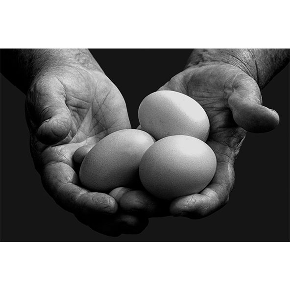 grandma's hands holding eggs