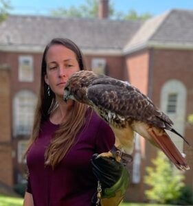 Canaan the red-tailed hawk with ACCA Executive Director Katie Fallon