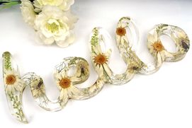 Hello wall hanging made with daisies and ferns encased in resin